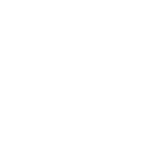 vion