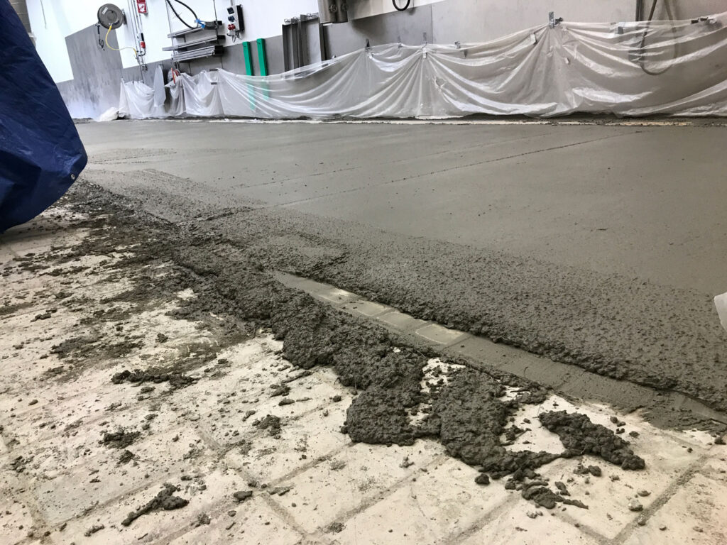 IMG 0005