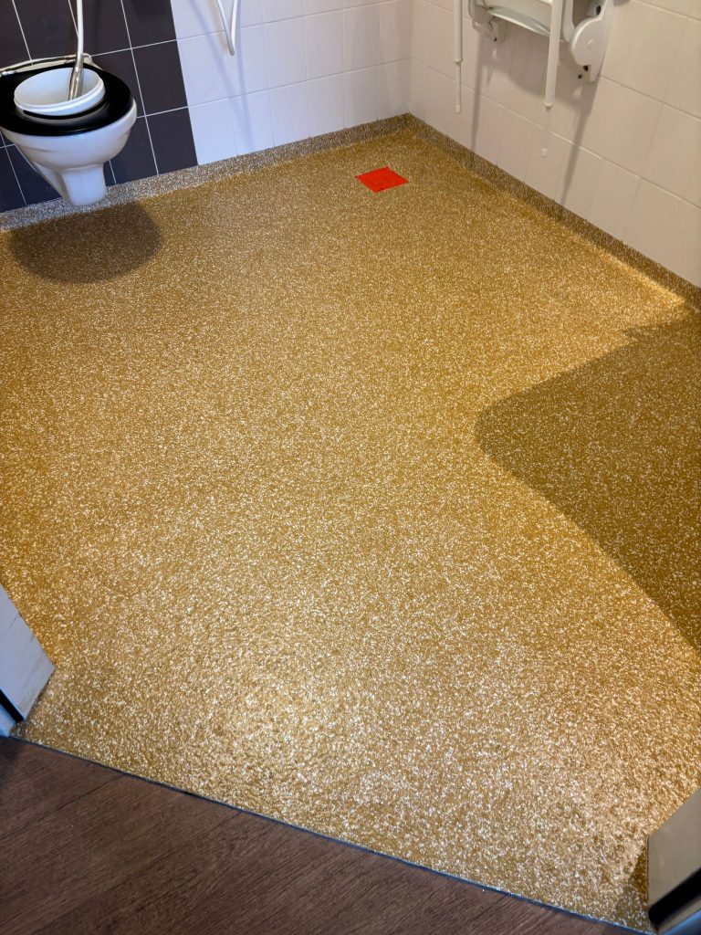 1000015065