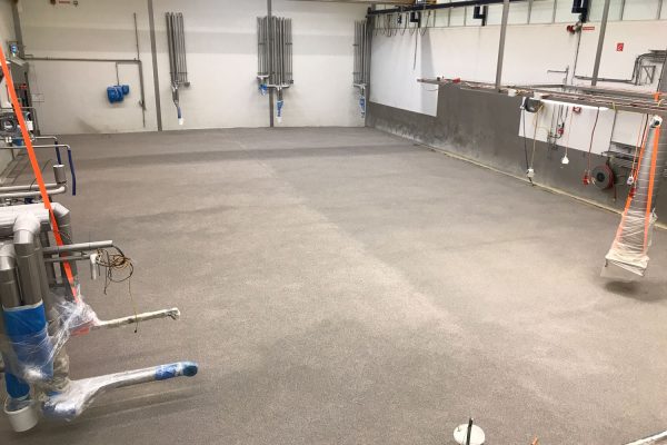 Totaalrenovatie in de voedselindustrie: nieuwe vloer voor Van Geloven